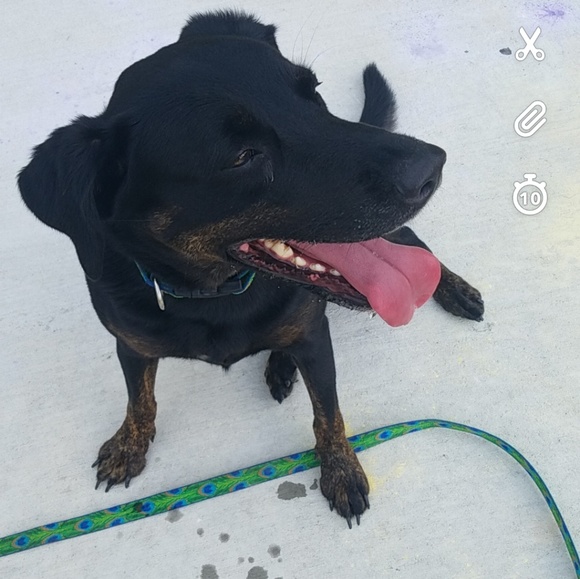 Meet your Posher, Onalise - Picture 2 of 2